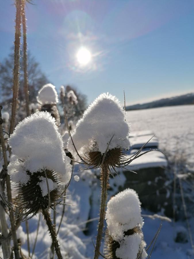 Landgasthof Plohnbachtal Ug Hotell Lengenfeld  Exteriör bild